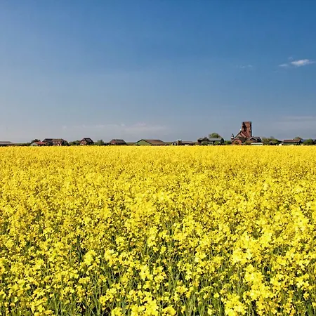Gud Jard Nr 29 - Design-ferienhaus Mit Exklusiver Ausstattung