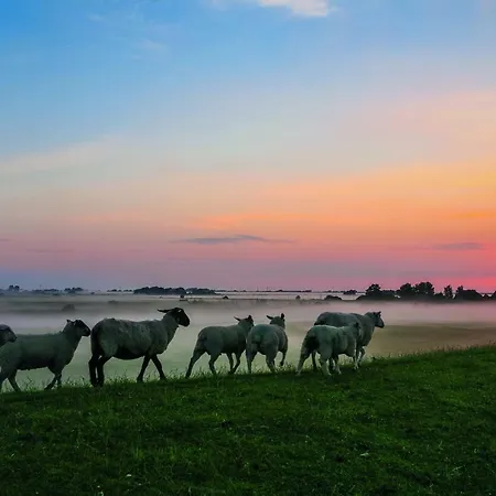 Gud Jard Nr 29 - Design-ferienhaus Mit Exklusiver Ausstattung 펜션 펠웜