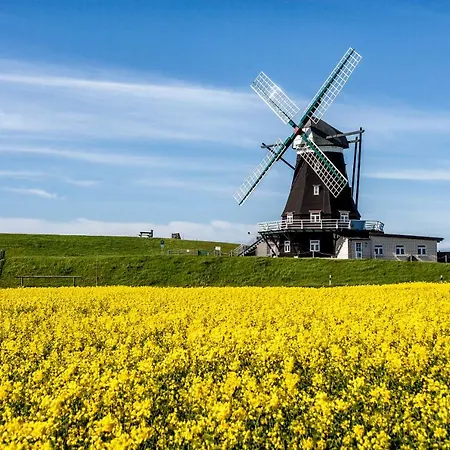 Gud Jard Nr 29 - Design-ferienhaus Mit Exklusiver Ausstattung * 펠웜